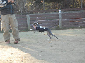 SSC_0081.JPG