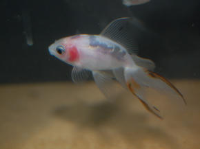 SSC_0044.JPG
