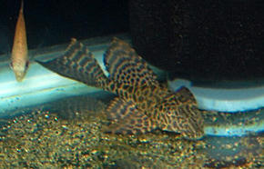 SSC_0029.JPG
