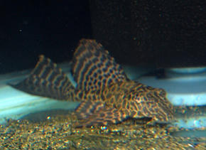SSC_0030.JPG