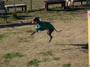 SSC_0049.JPG