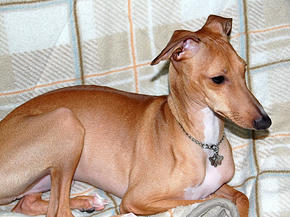 SSC_0005.JPG