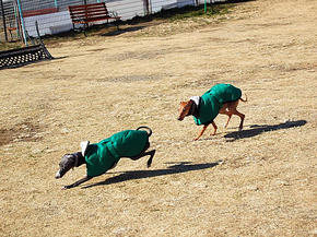 SSC_0137.JPG