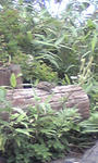 Image076.jpg
