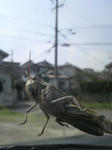 2010031413200000.jpg