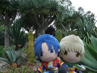 DSCF2647.jpg