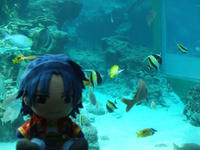 DSCF2781.jpg