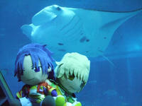 DSCF2825.jpg