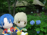 ajisai.jpg