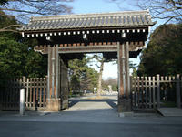 hamaguri.jpg