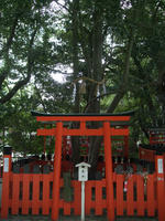 shimogamo.jpg