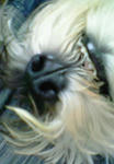 449790d6jpeg