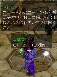 白さんの後ろ