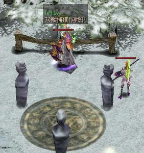 珍獣捕獲作戦