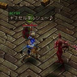 むぃちゃんと祭壇