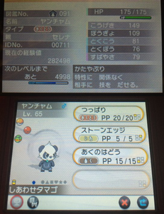 ポケットモンスターxy セレナの冒険再現プレイ 第9回 ネギブログ