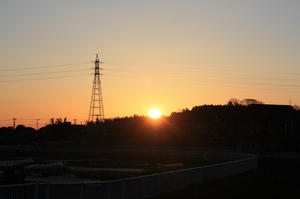 IMG_5206_1.JPG