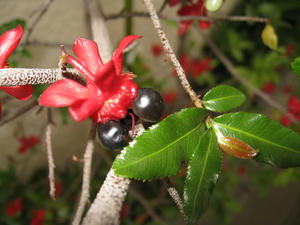 IMG_5705.JPG