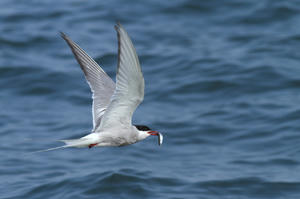 IMG_9898.jpg
