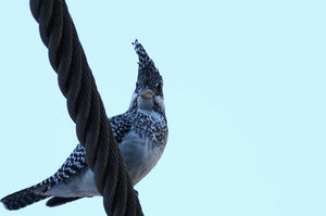 IMG_5972.JPG