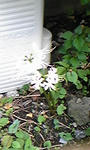 101006_081413.jpg
