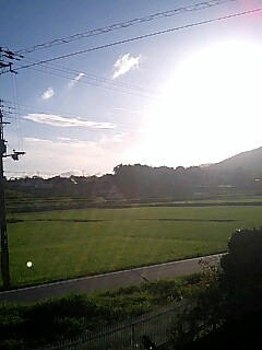 昨日撮りました