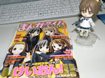 1日遅れでゲット