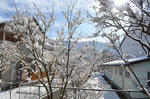 DSC_0846.JPG