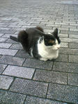 PAP_0027.JPG