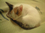 2011_1031_2344.jpg