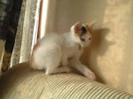 2011_1104_0812_2.jpg