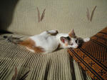 2011_1205_0904_1.jpg