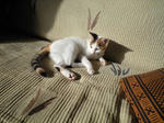 2011_1205_0904_3.jpg