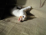 2011_1205_0904_4.jpg