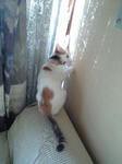 2011_1205_0918_2.jpg