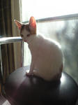 2011_1205_0936.jpg