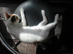 2011_1205_0937_2.jpg