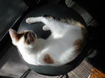 2011_1205_0937_4.jpg
