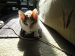 2011_1207_1114.jpg