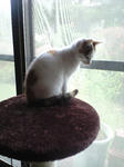 2011_1209_1247_1.jpg