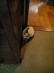 2011_1209_1247_2.jpg