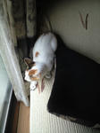 2011_1209_1248.jpg