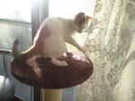 2011_1210_0821_2.jpg