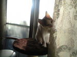 2011_1210_0822.jpg