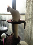 2011_1210_0840.jpg