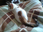 2011_1211_1102.jpg
