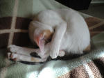 2011_1211_1127.jpg