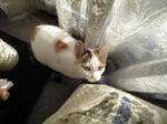 2011_1211_1258.jpg