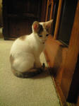 2011_1217_2306.jpg