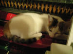 2011_1222_0137.jpg